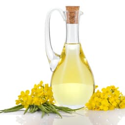 Fett - ein wertvoller Nährstoff