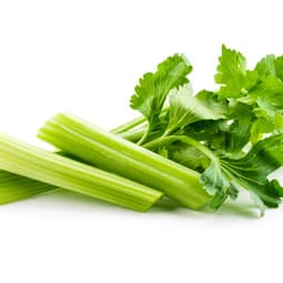 Knackiges in der Küche 