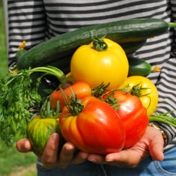 Gartenarbeit