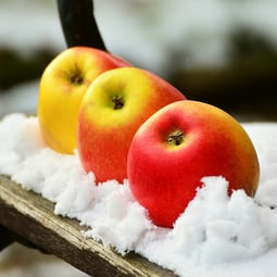 Garten im Winter