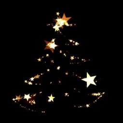 Weihnachtsbaum