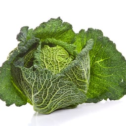 Direkt vom Feld sind sie am schmackhaftesten