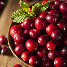 Kleine Beere fein in der Küche verwendet