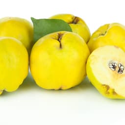 Quitten mal anders - so fein 