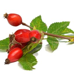 Eine nichtalltägliche Frucht in der Küche 