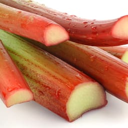 Endlich wieder zu haben