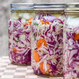 Was Bakterien alles können