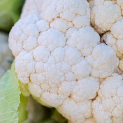 Blumenkohl