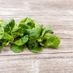 Der Winter bringt einen feinen Salat mit sich 