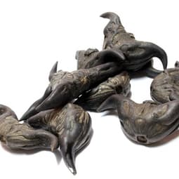 Köstlichkeit aus dem fernen Osten