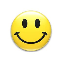 Happiness - Bonheur - Glücklich sein: Das oberste Ziel.