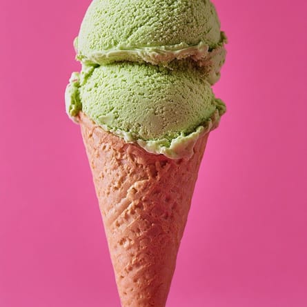 Avocadoeis Avocadoeis