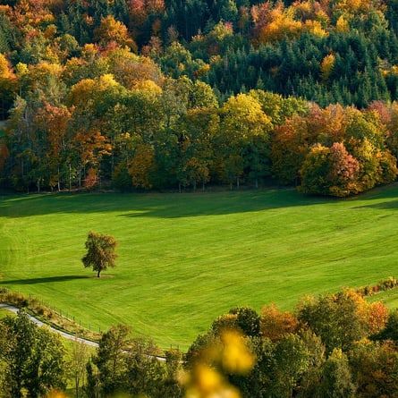 Herbst Herbst