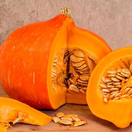 Kürbis Kürbis