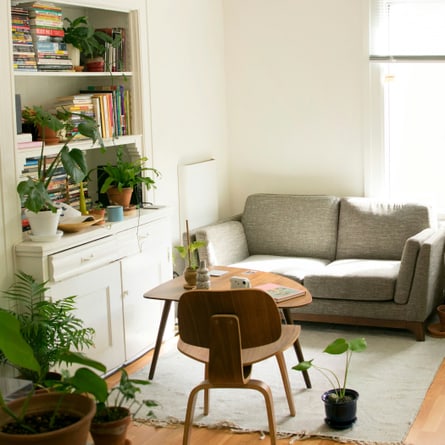 Zimmer mit Pflanzen Zimmer mit Pflanzen
