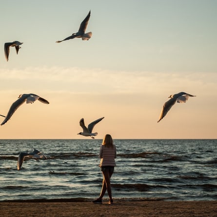 Frau am Meer Frau am Meer