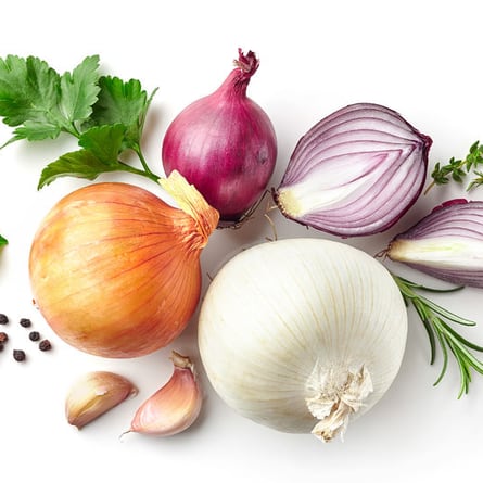 Allium zepa - vielseitig einsetzbar Allium zepa - vielseitig einsetzbar