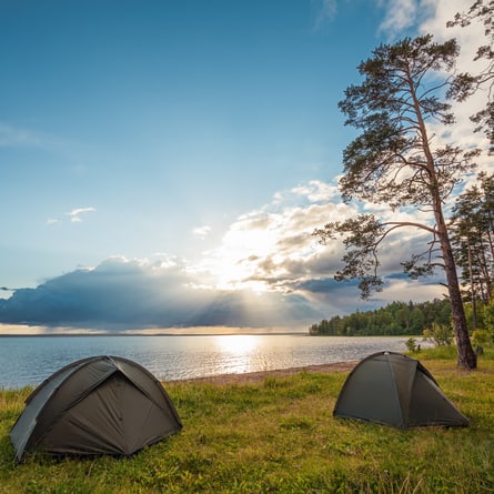 Das Camping bietet direkte Verbindung zur Natur Das Camping bietet direkte Verbindung zur Natur