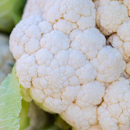Blumenkohl
