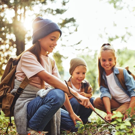 Fröhliche Kinder erkunden den Wald. Fröhliche Kinder erkunden den Wald.
