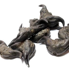 Köstlichkeit aus dem fernen Osten Köstlichkeit aus dem fernen Osten